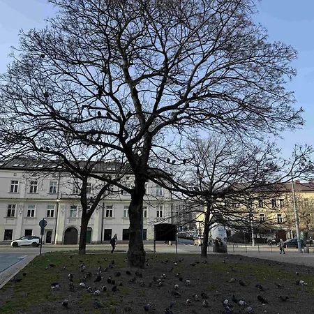 Art Stare Podgorze Free Parking * Krakkó